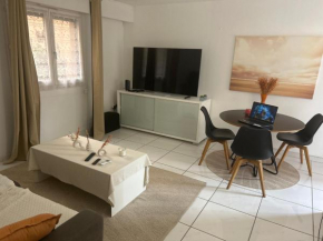 Appartement spacieux climatisé piscines